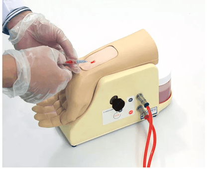 Handgelenk zur Arterienpunktion - Erler - Zimmer