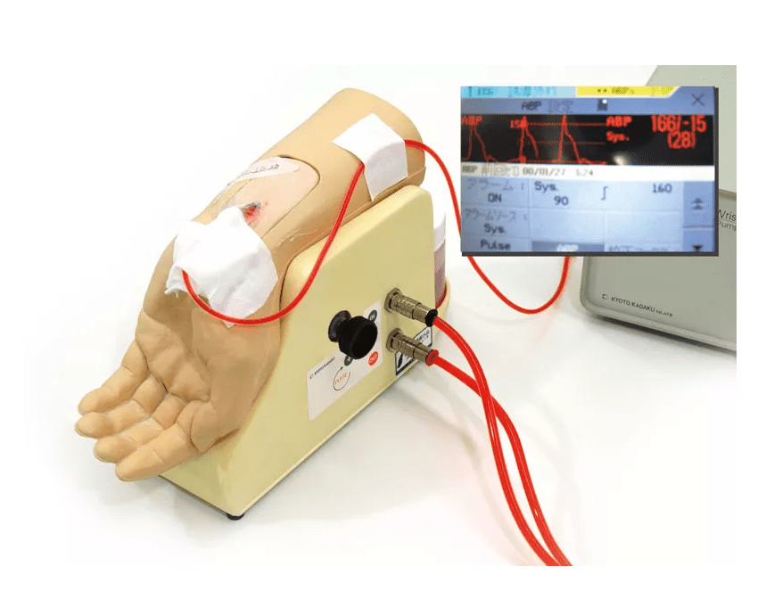Handgelenk zur Arterienpunktion - Erler - Zimmer