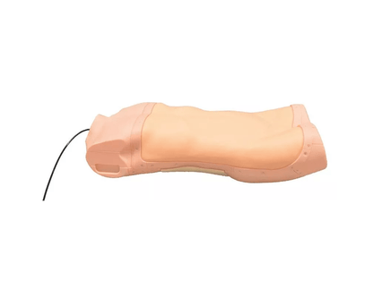 Abdominaler Untersuchungs - Simulator - Erler - Zimmer