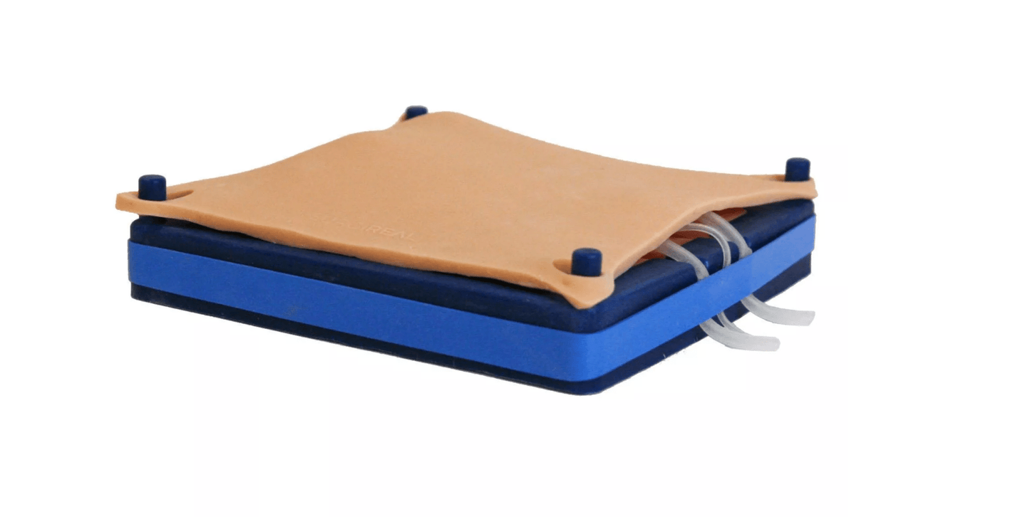 Simulator für Hundekastrationen - Erler - Zimmer