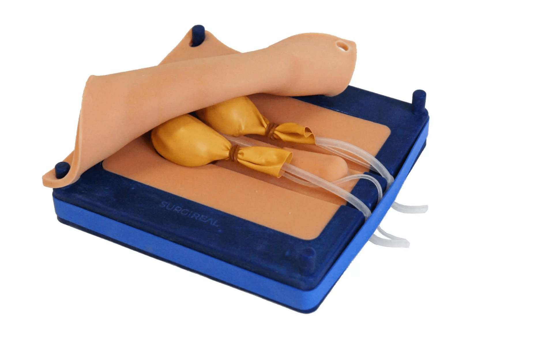 Simulator für Hundekastrationen - Erler - Zimmer