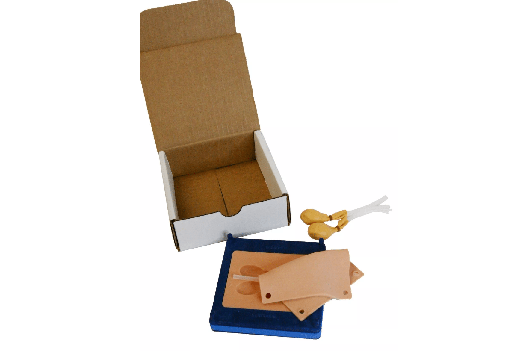 Simulator für Hundekastrationen - Erler - Zimmer