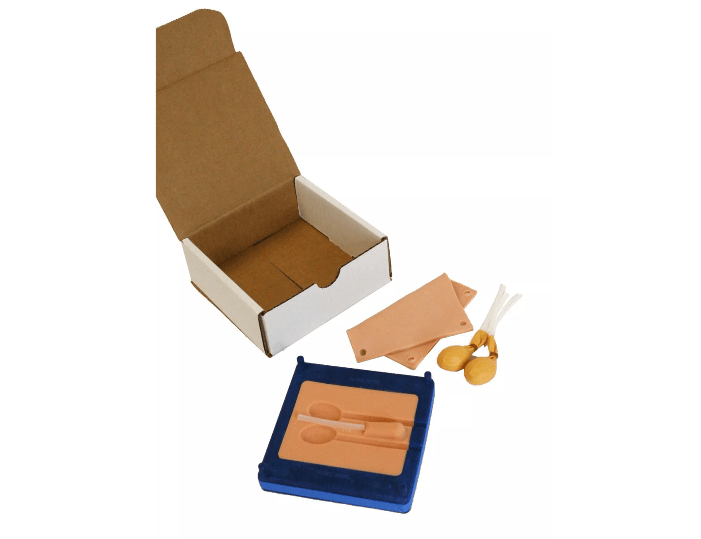 Simulator für Hundekastrationen - Erler - Zimmer