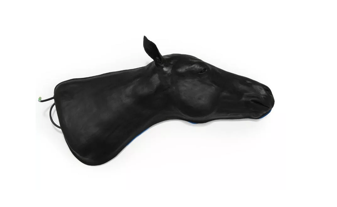 Pferde Simulator 1.0 - Erler - Zimmer