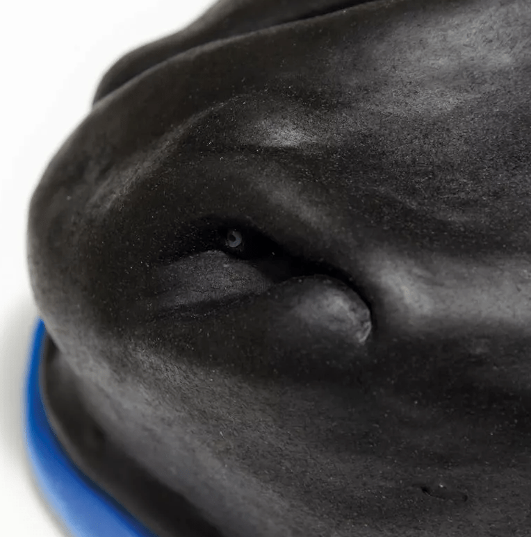 Pferde Simulator 1.0 - Erler - Zimmer