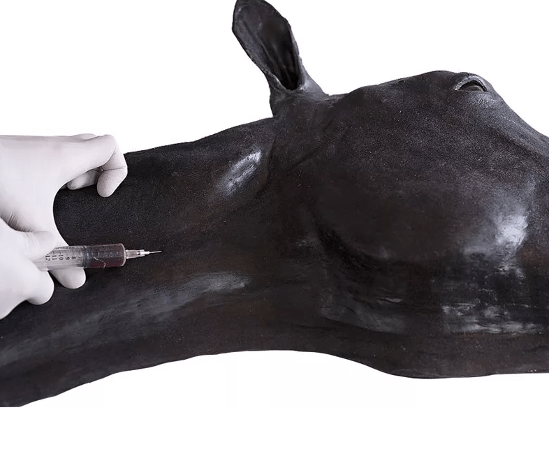 Pferde Simulator 1.0 - Erler - Zimmer