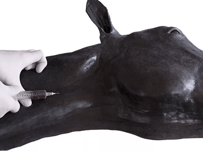 Pferde Simulator 1.0 - Erler - Zimmer