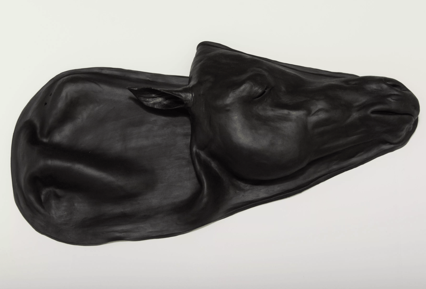 Ersatzhaut für Pferdesimulator 1.0 - Erler - Zimmer