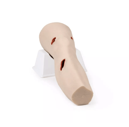 Trauma Bein Tasktrainer - Erler - Zimmer