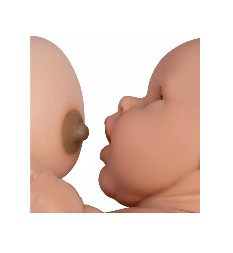 Eltern - Übungsbaby - Erler - Zimmer