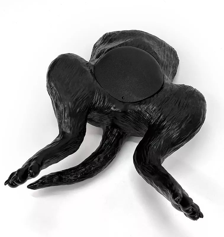 Ultraschalltrainer Hundeblase