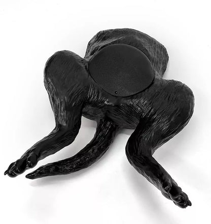 Ultraschalltrainer Hundeblase