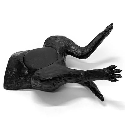 Ultraschalltrainer Hundeblase