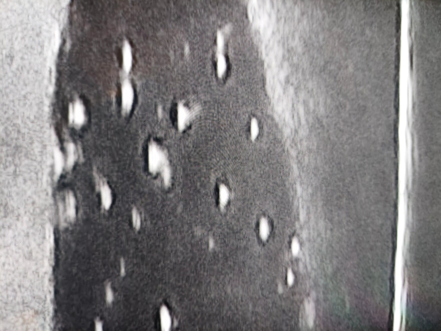 Ultraschalltrainer Hundeblase