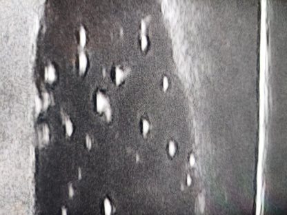 Ultraschalltrainer Hundeblase