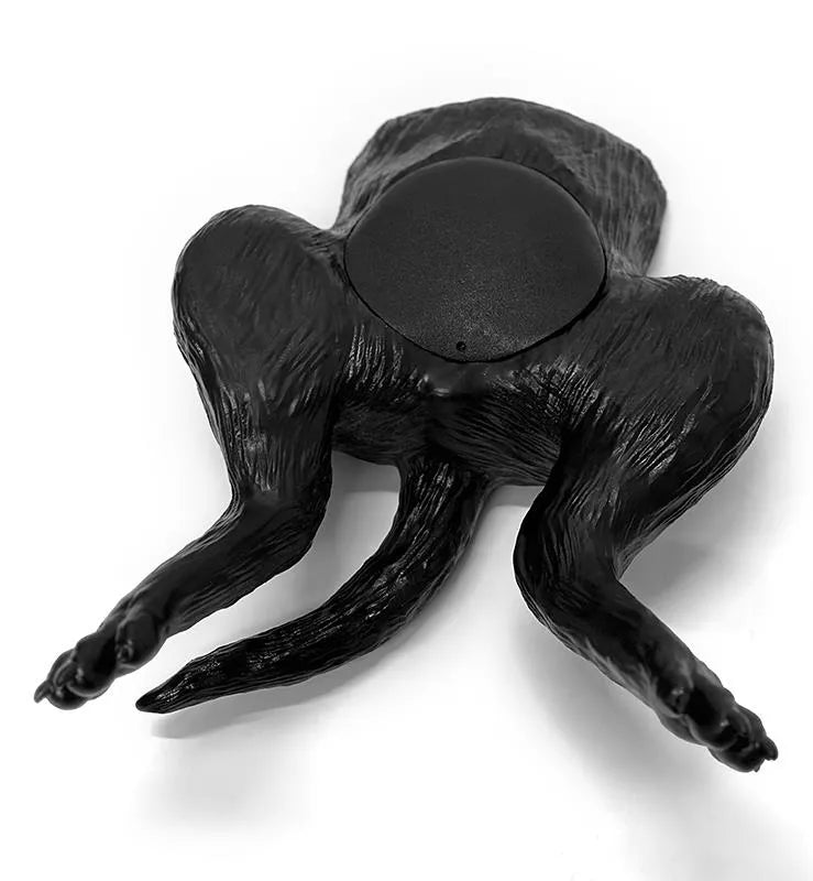 Ultraschalltrainer Hundeblase