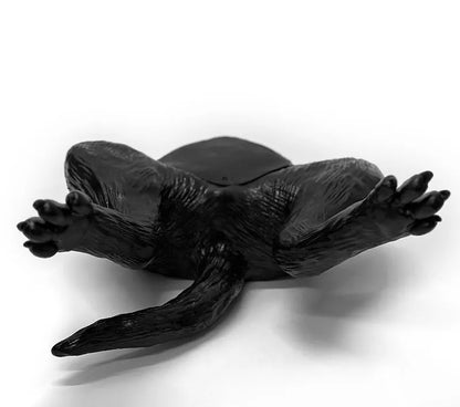 Ultraschalltrainer Hundeblase