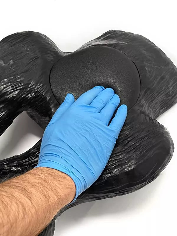 Ultraschalltrainer Hundeblase