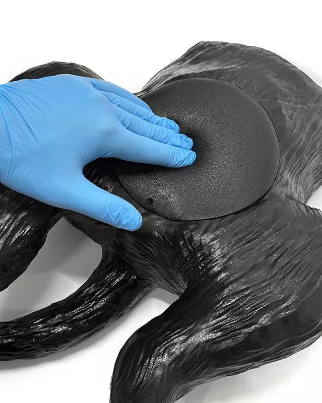 Ultraschalltrainer Hundeblase