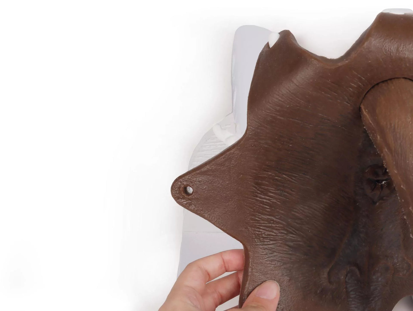 Rektaler Untersuchungssimulator Hund