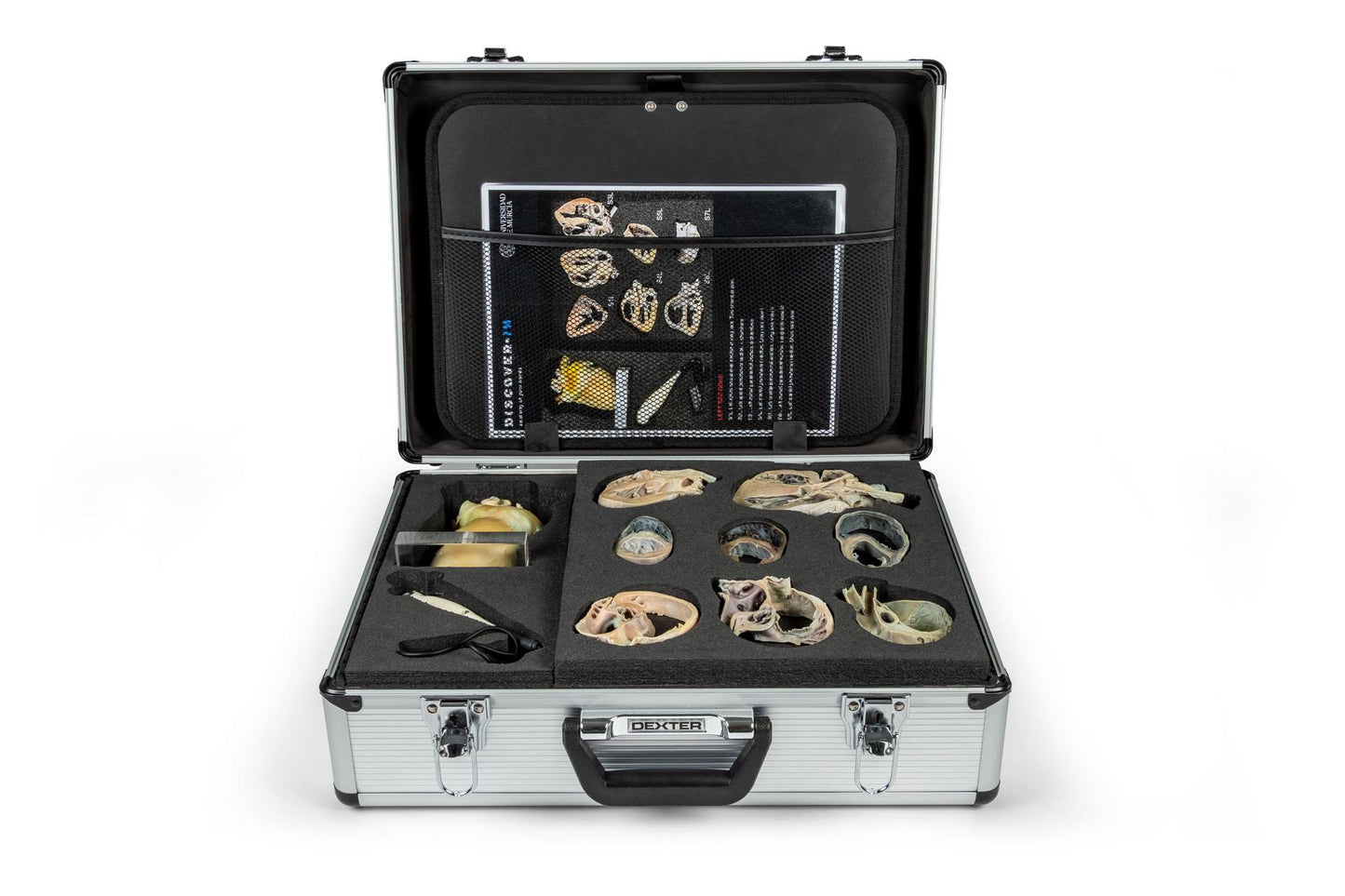 Hunde Echokardiographie Kit