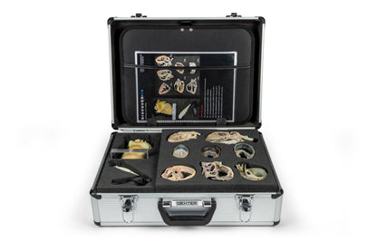 Hunde Echokardiographie Kit
