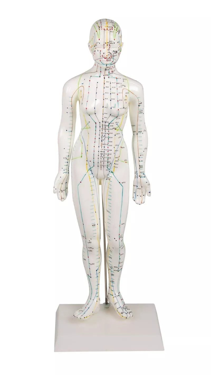 Erler-ZimmerChinesische AkupunkturfigurDocMed GmbH