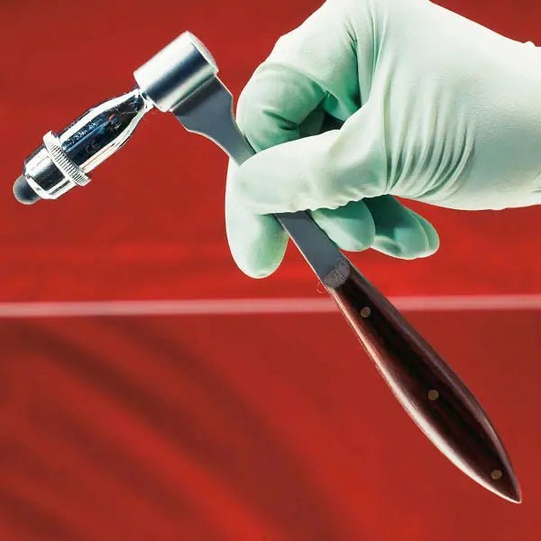 ServopraxHammer > nach Traube - 100 gDocMed GmbH