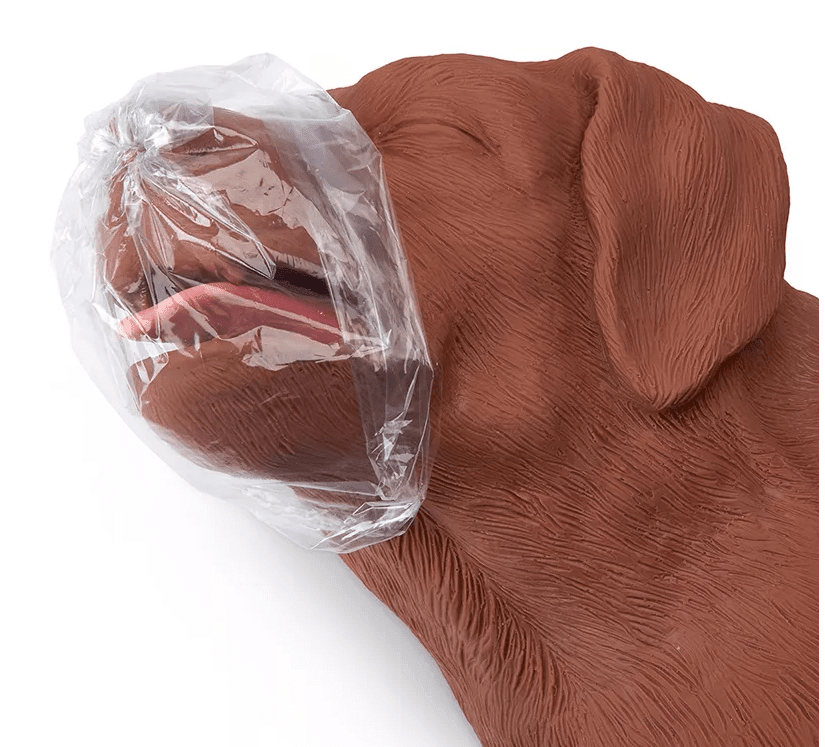 Erler-ZimmerHLW Übungshund CasPeRDocMed GmbH
