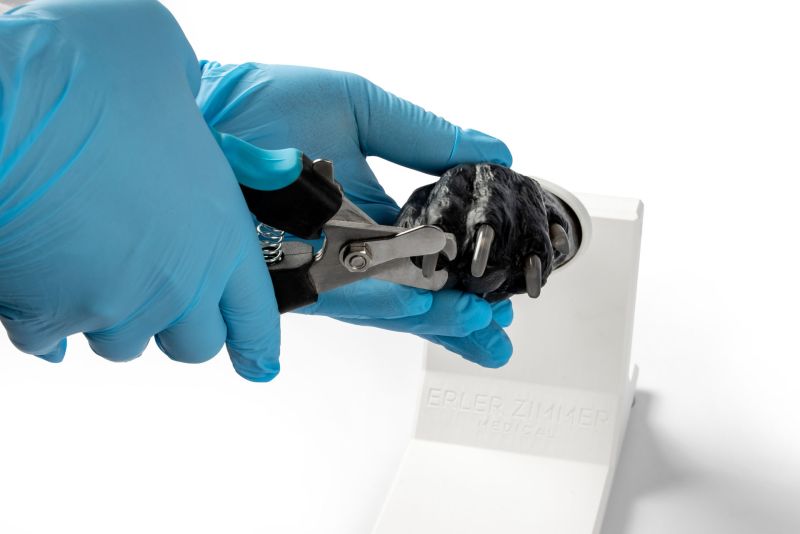 Erler-ZimmerHundepfote zum KrallenschneidenDocMed GmbH