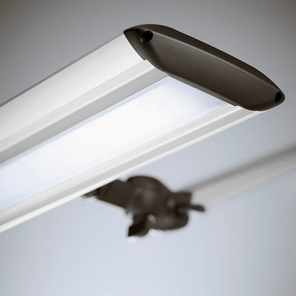 Derungs Medical GmbHLaborleuchte TANEO LABDocMed GmbH