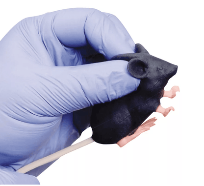 Erler-ZimmerMimicky MouseDocMed GmbH