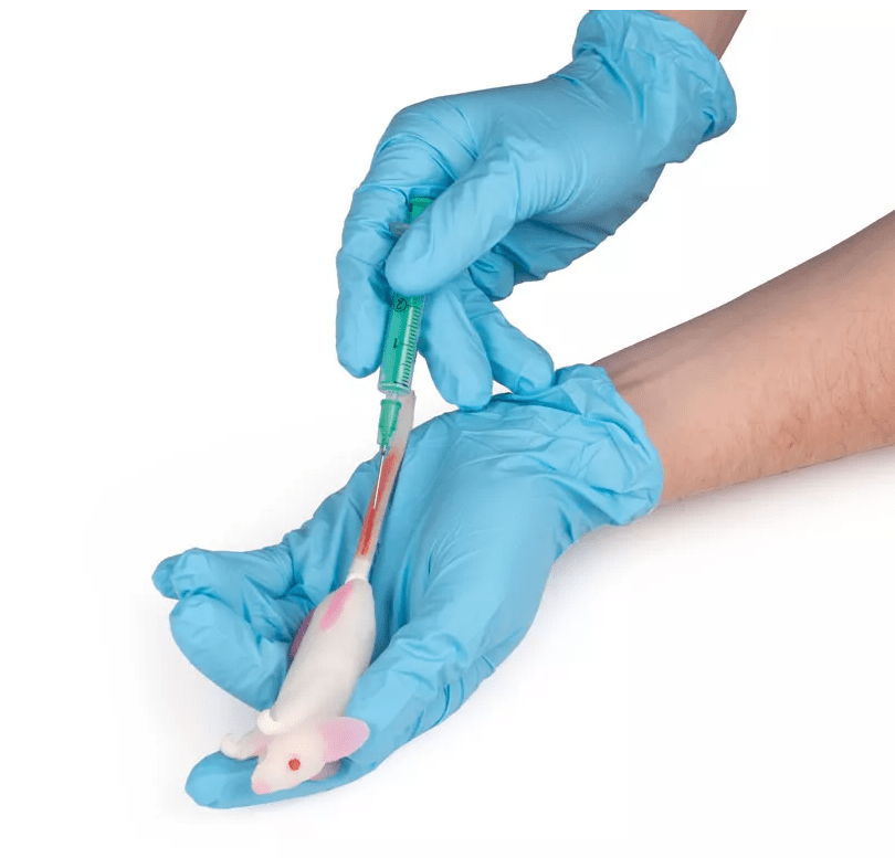 Erler-ZimmerSimulationsmodell MausDocMed GmbH