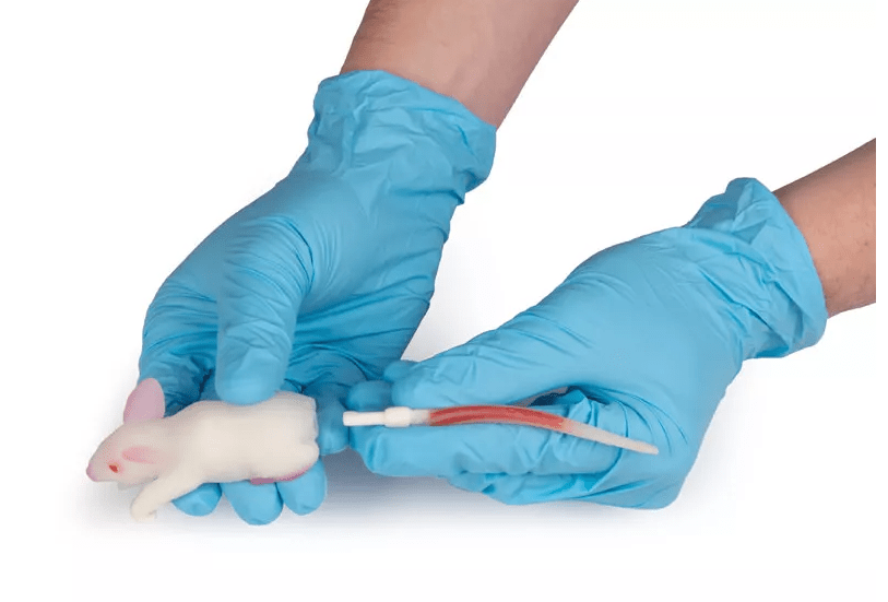 Erler-ZimmerSimulationsmodell MausDocMed GmbH