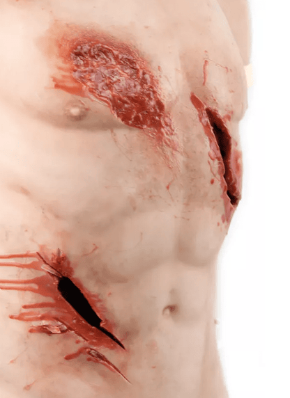 Erler-ZimmerTrauma Training TorsoDocMed GmbH