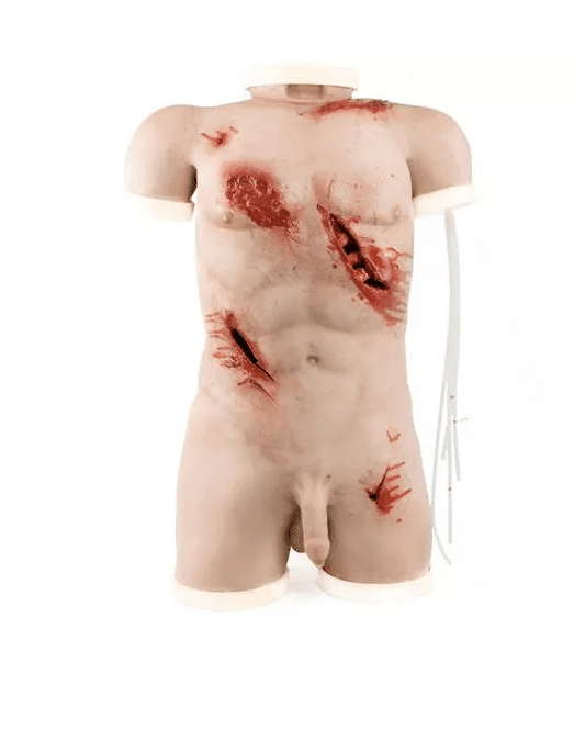 Erler-ZimmerTrauma Training TorsoDocMed GmbH