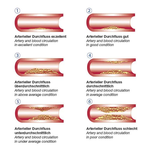 ResQ-MeterVascular-Check Finger-PulsoximeterDocMed GmbH